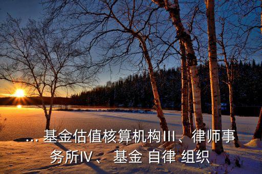 ... 基金估值核算機(jī)構(gòu)Ⅲ、律師事務(wù)所Ⅳ、 基金 自律 組織