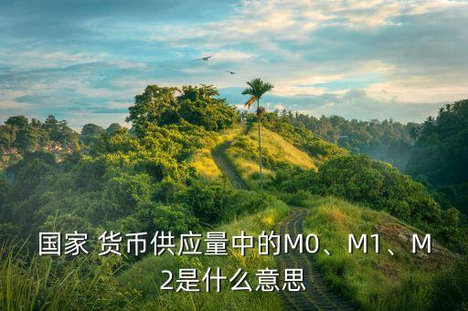 國家 貨幣供應量中的M0、M1、M2是什么意思