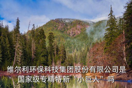  維爾利環(huán)?？萍技瘓F股份有限公司是國家級專精特新“小巨人”嗎