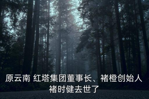 原云南 紅塔集團董事長、褚橙創(chuàng)始人褚時健去世了