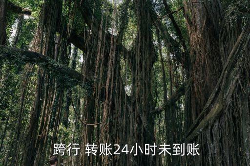 交通銀行異地跨行轉賬不成功,異地跨行轉賬需要收取手續(xù)費嗎?交通銀行