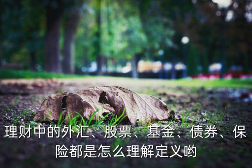 理財(cái)中的外匯、股票、基金、債券、保險(xiǎn)都是怎么理解定義喲