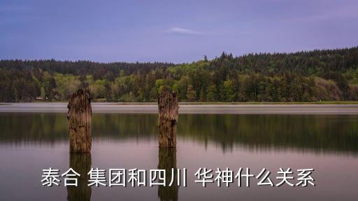 華神集團(tuán)財(cái)報(bào),溫嶺市華神建設(shè)集團(tuán)