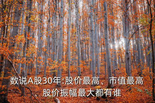 數(shù)說A股30年:股價最高、市值最高、股價振幅最大都有誰