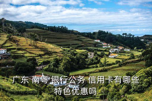 廣東 南粵 銀行公務 信用卡有哪些特色優(yōu)惠嗎