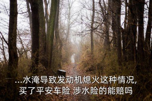 ...水淹導(dǎo)致發(fā)動機(jī)熄火這種情況,買了平安車險 涉水險的能賠嗎