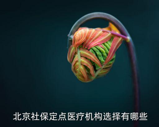  北京社保定點醫(yī)療機(jī)構(gòu)選擇有哪些