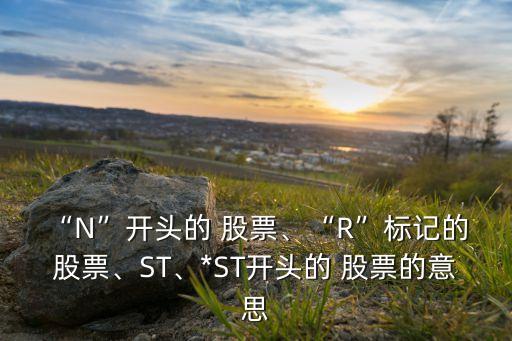 “N”開頭的 股票、“R”標(biāo)記的 股票、ST、*ST開頭的 股票的意思