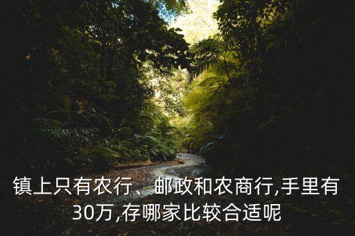 鎮(zhèn)上只有農(nóng)行、郵政和農(nóng)商行,手里有30萬,存哪家比較合適呢