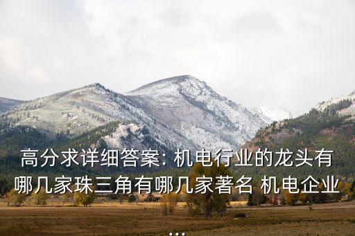 高分求詳細(xì)答案: 機電行業(yè)的龍頭有哪幾家珠三角有哪幾家著名 機電企業(yè)...