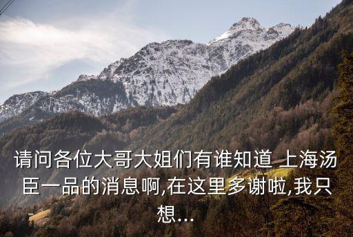 請(qǐng)問各位大哥大姐們有誰(shuí)知道 上海湯臣一品的消息啊,在這里多謝啦,我只想...