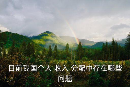 目前我國(guó)個(gè)人 收入 分配中存在哪些問題