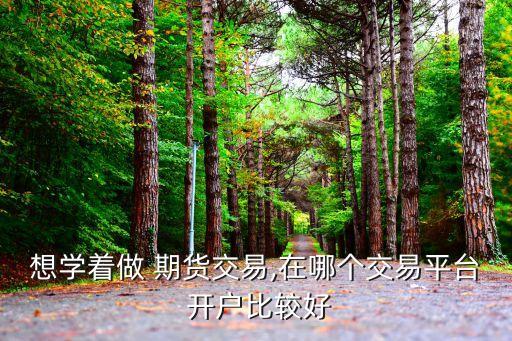哪些期貨公司可以網(wǎng)上開(kāi)戶(hù)