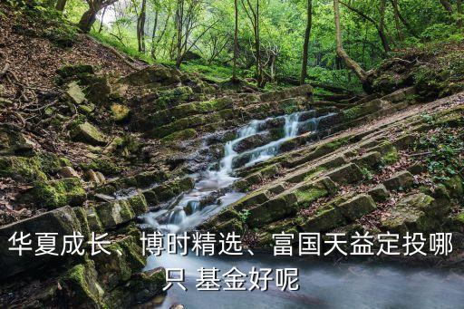 華夏成長(zhǎng)、博時(shí)精選、富國(guó)天益定投哪只 基金好呢