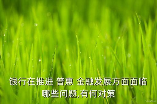 銀行在推進(jìn) 普惠 金融發(fā)展方面面臨哪些問題,有何對(duì)策