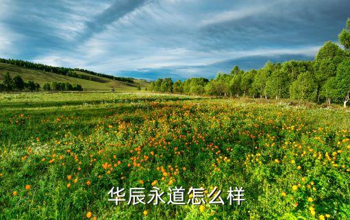 浙江華辰能源有限公司,內蒙古華辰能源科技有限公司