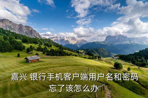  嘉興 銀行手機客戶端用戶名和密碼忘了該怎么辦