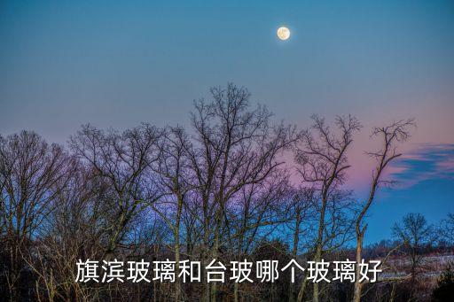 旗濱玻璃和臺玻哪個(gè)玻璃好