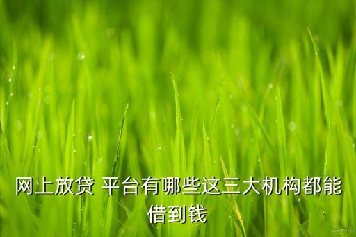 網(wǎng)上放貸 平臺有哪些這三大機(jī)構(gòu)都能借到錢
