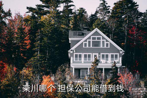 欒川哪個 擔(dān)保公司能借到錢