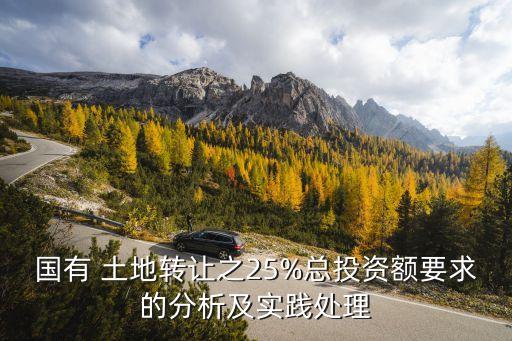 國有 土地轉讓之25%總投資額要求的分析及實踐處理