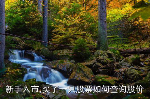 新手入市,買(mǎi)了一只股票如何查詢(xún)股價(jià)