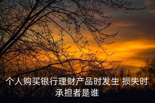 個(gè)人購(gòu)買(mǎi)銀行理財(cái)產(chǎn)品時(shí)發(fā)生 損失時(shí)承擔(dān)者是誰(shuí)