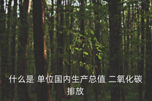 什么是 單位國內生產(chǎn)總值 二氧化碳排放