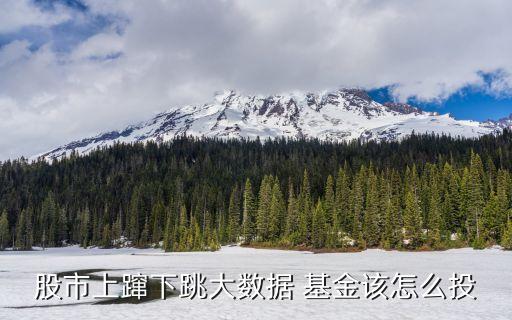 股市上躥下跳大數據 基金該怎么投