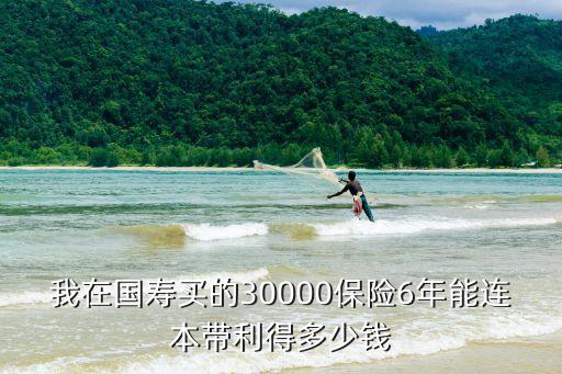 中國(guó)人壽三萬(wàn)工程