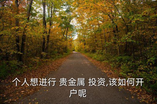 個(gè)人想進(jìn)行 貴金屬 投資,該如何開(kāi)戶呢