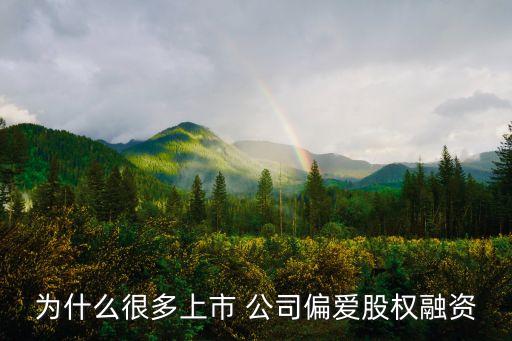 為什么很多上市 公司偏愛(ài)股權(quán)融資