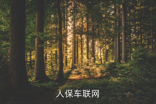 中國人保車聯網