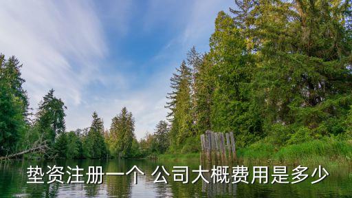  墊資注冊一個(gè) 公司大概費(fèi)用是多少