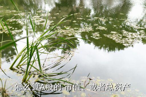 怎么算A股的 市值、或者總資產(chǎn)