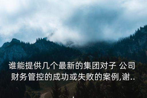 誰能提供幾個最新的集團(tuán)對子 公司 財務(wù)管控的成功或失敗的案例,謝...