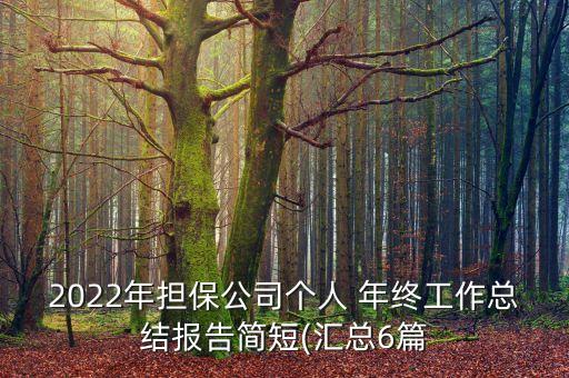 2022年擔保公司個人 年終工作總結(jié)報告簡短(匯總6篇