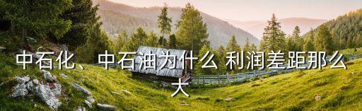 中石化、中石油為什么 利潤差距那么大