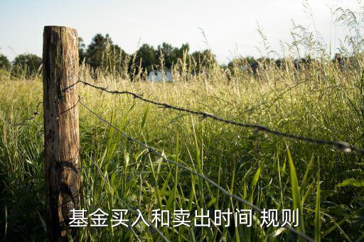  基金買(mǎi)入和賣(mài)出時(shí)間 規(guī)則