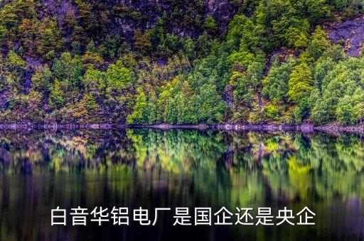 白音華鋁電廠是國(guó)企還是央企