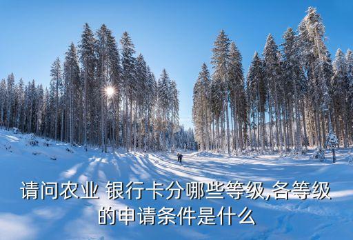 請(qǐng)問(wèn)農(nóng)業(yè) 銀行卡分哪些等級(jí),各等級(jí)的申請(qǐng)條件是什么