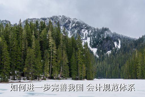 中國會計(jì)導(dǎo)向,以顧客為導(dǎo)向?qū)?jì)的影響