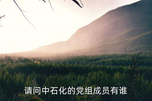 請(qǐng)問中石化的黨組成員有誰(shuí)