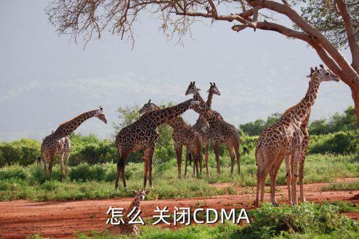 中國電信關閉cdma