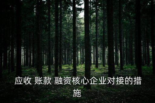  應(yīng)收 賬款 融資核心企業(yè)對接的措施