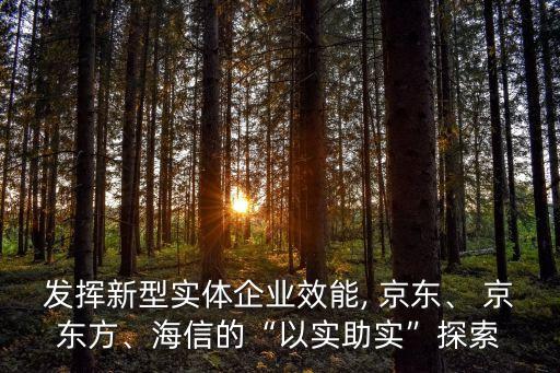發(fā)揮新型實體企業(yè)效能, 京東、 京東方、海信的“以實助實”探索