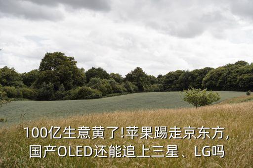 100億生意黃了!蘋果踢走京東方,國產(chǎn)OLED還能追上三星、LG嗎