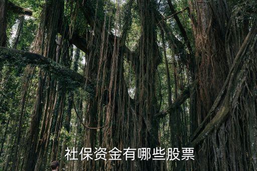 全國社?；鸾M合
