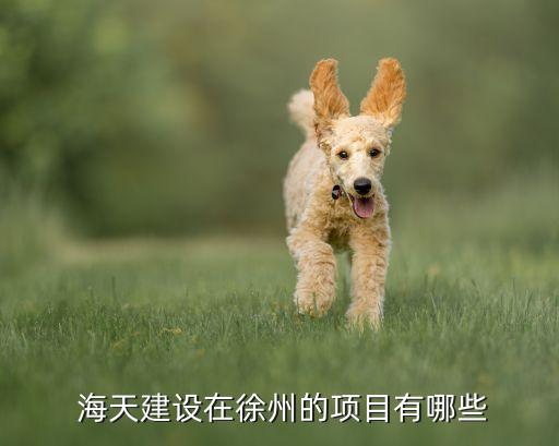 海天建設分公司總經理,河北建設三河分公司總經理