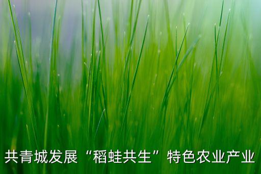 共青城發(fā)展“稻蛙共生”特色農業(yè)產業(yè)